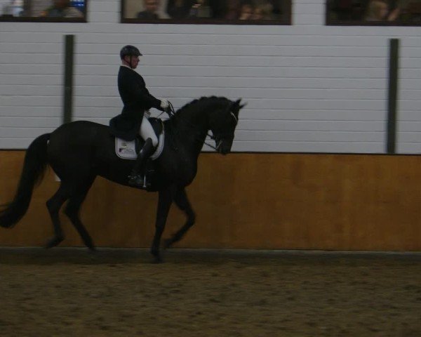 Reitturnier Frechen-Bachem 2024