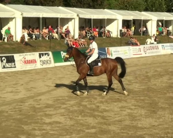 60. Lobbericher Reitsportfestival 01.-04.08.2013