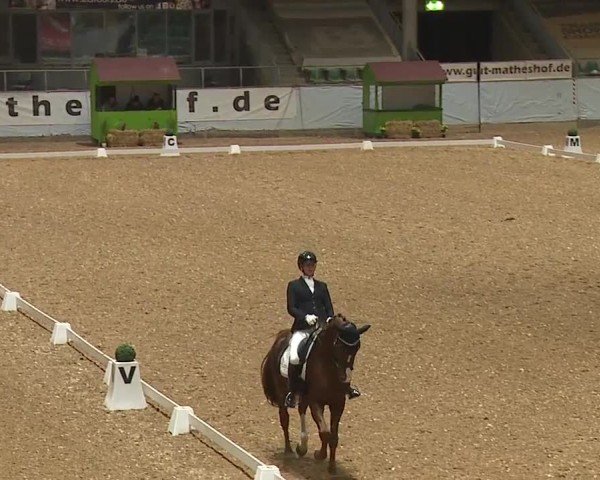 Reitturnier Kreuth/Opf. 2024