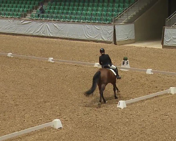 Reitturnier Kreuth/Opf. 2024