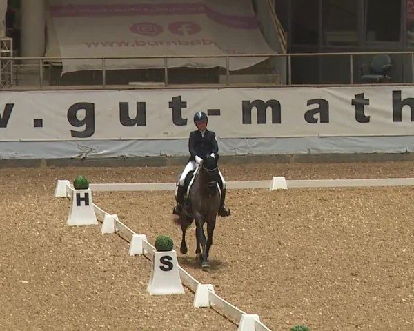 Reitturnier Kreuth/Opf. 2024