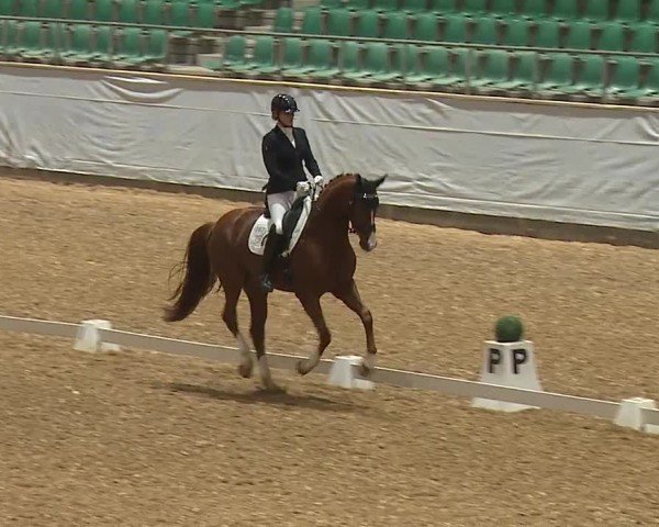 Reitturnier Kreuth/Opf. 2024
