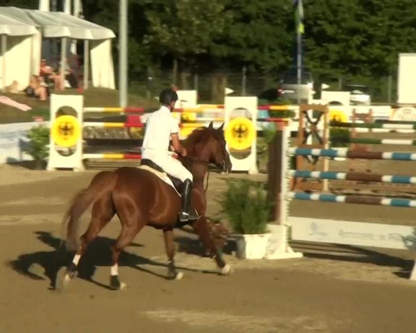 60. Lobbericher Reitsportfestival 01.-04.08.2013