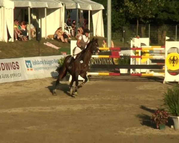 60. Lobbericher Reitsportfestival 01.-04.08.2013