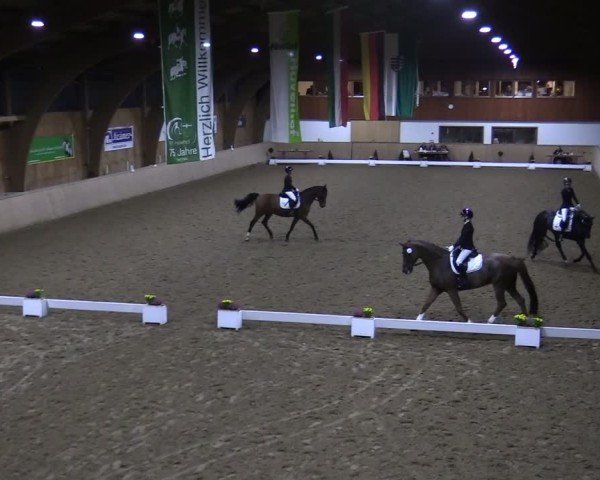 Reitturnier Hövelhof 2024