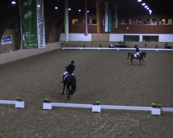 Reitturnier Hövelhof 2024