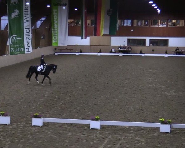 Reitturnier Hövelhof 2024