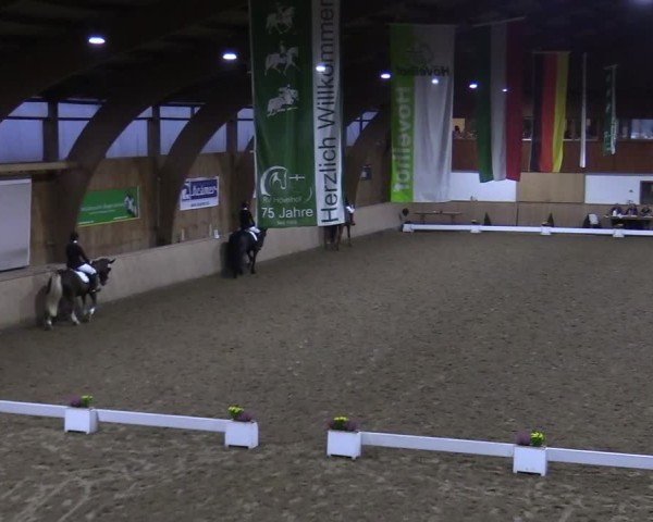 Reitturnier Hövelhof 2024