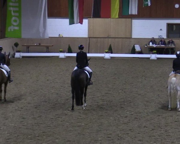 Reitturnier Hövelhof 2024