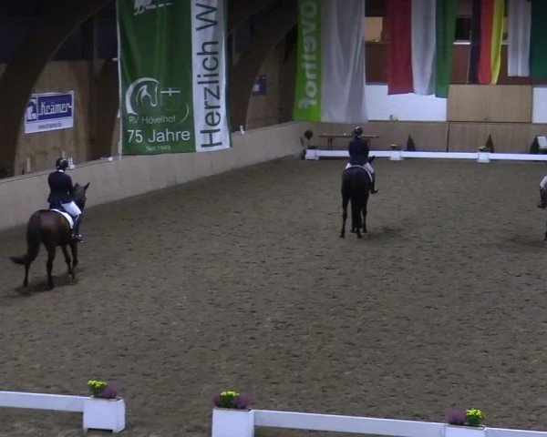 Reitturnier Hövelhof 2024