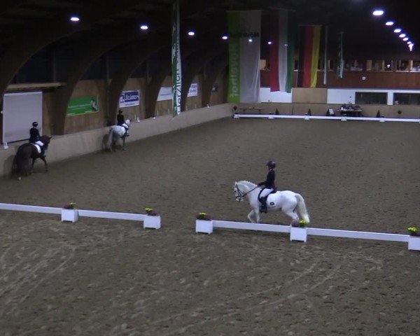 Reitturnier Hövelhof 2024
