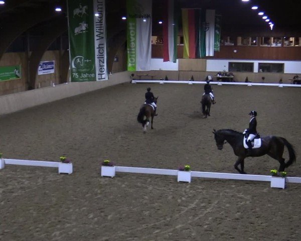 Reitturnier Hövelhof 2024