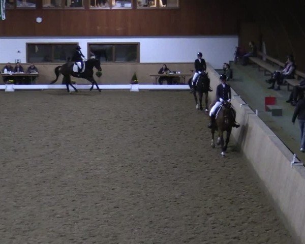 Reitturnier Hövelhof 2024