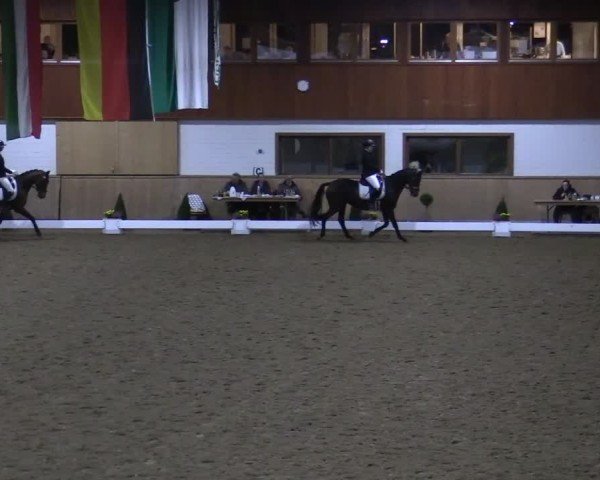 Reitturnier Hövelhof 2024