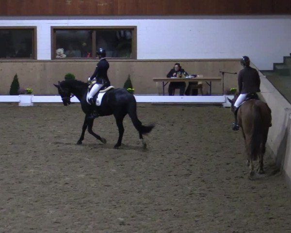 Reitturnier Hövelhof 2024