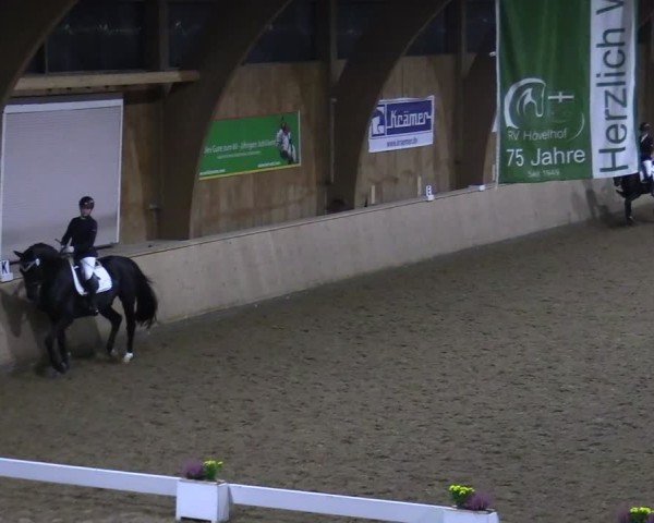Reitturnier Hövelhof 2024