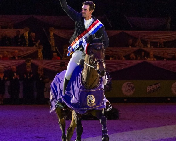 jumper Gentlemen VH Veldhof (Belgian Warmblood, 2006, from Quite Easy I)
