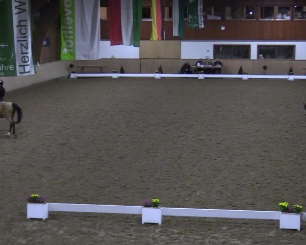 Reitturnier Hövelhof 2024