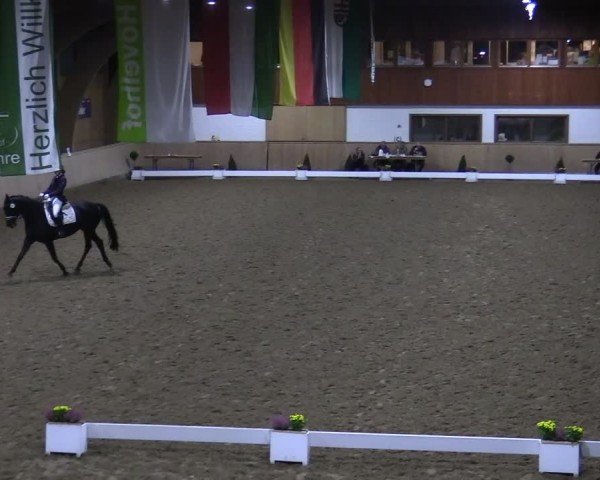 Reitturnier Hövelhof 2024