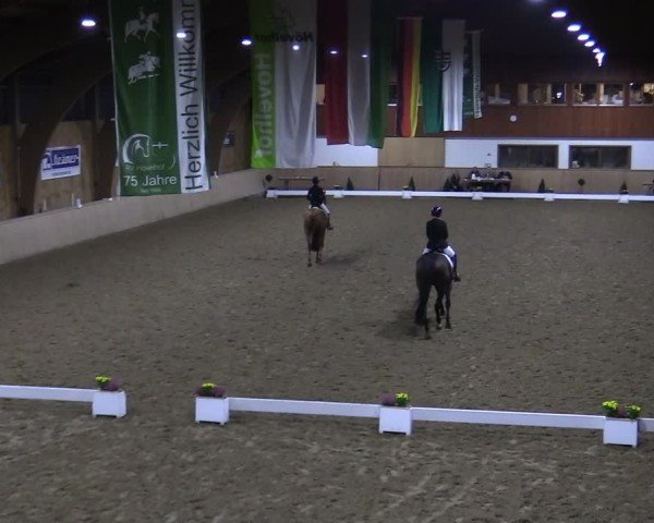 Reitturnier Hövelhof 2024