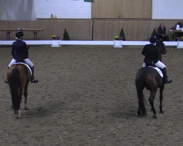 Reitturnier Hövelhof 2024