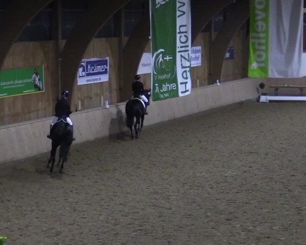 Reitturnier Hövelhof 2024