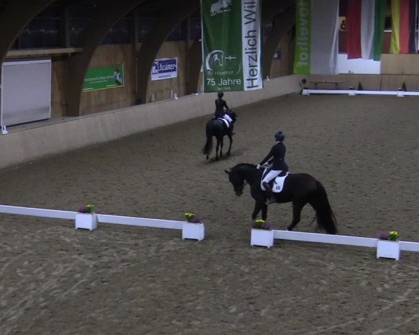 Reitturnier Hövelhof 2024