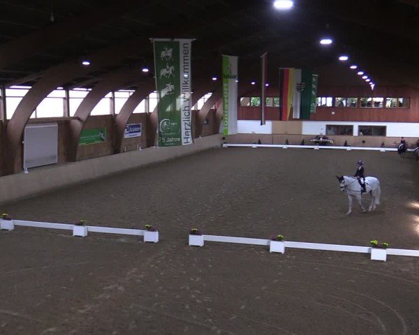 Reitturnier Hövelhof 2024