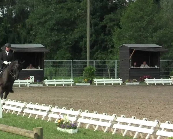 60. Lobbericher Reitsportfestival 01.-04.08.2013