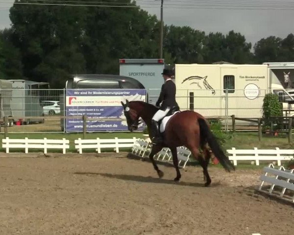 60. Lobbericher Reitsportfestival 01.-04.08.2013