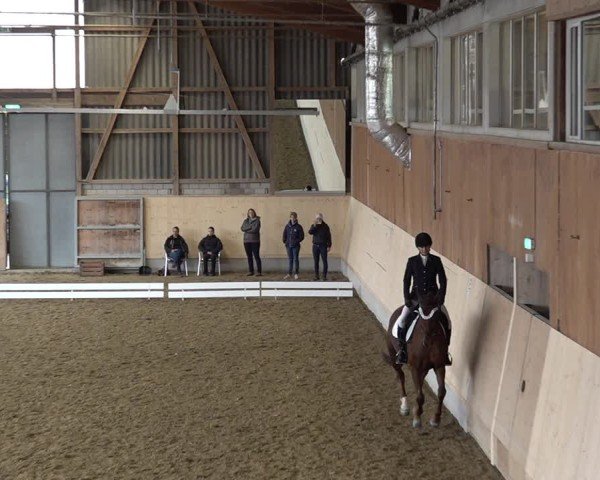 Reitturnier Uster 2024