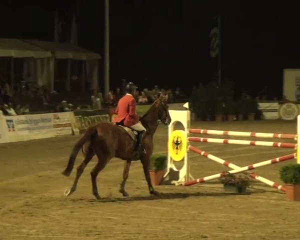 60. Lobbericher Reitsportfestival 01.-04.08.2013