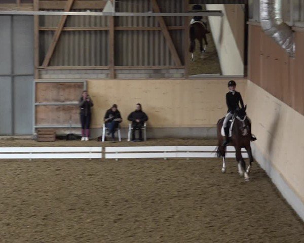 Reitturnier Uster 2024