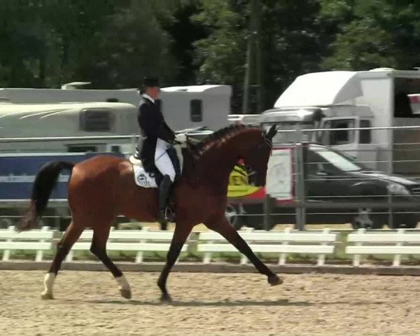60. Lobbericher Reitsportfestival 01.-04.08.2013