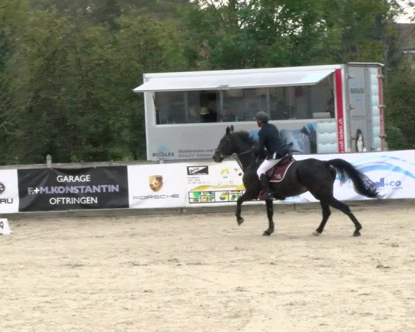 Pferdesporttage Neuendorf SO 2021