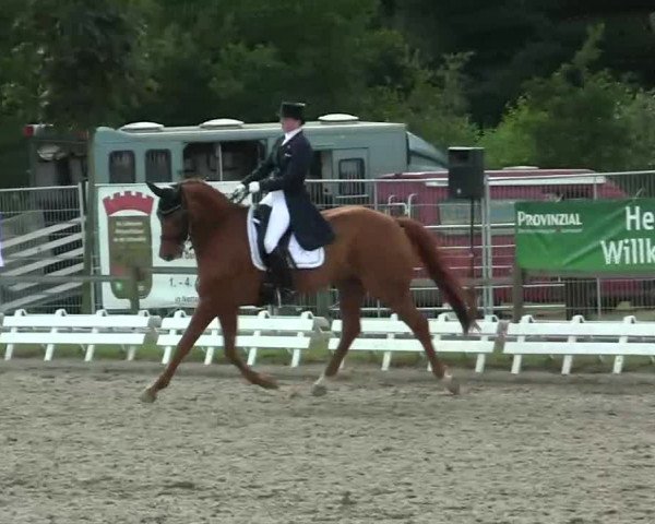 60. Lobbericher Reitsportfestival 01.-04.08.2013