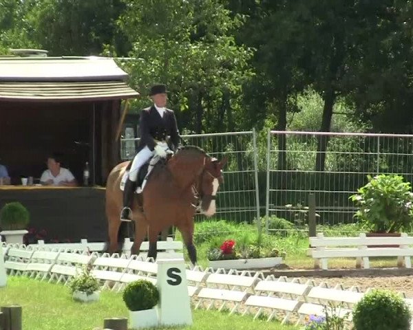 60. Lobbericher Reitsportfestival 01.-04.08.2013