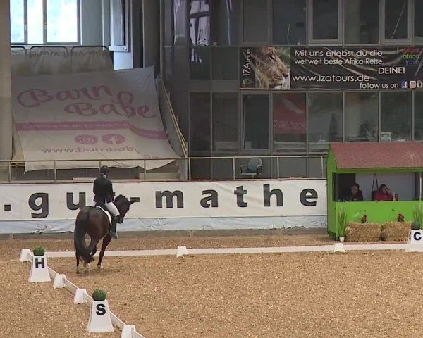 Reitturnier Kreuth/Opf. 2024