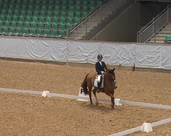 Reitturnier Kreuth/Opf. 2024