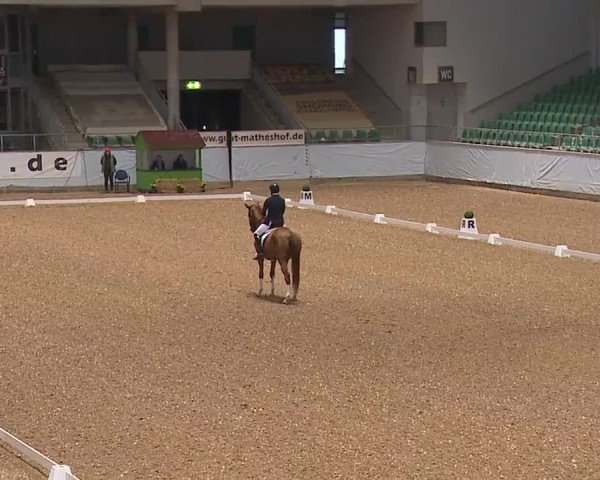Reitturnier Kreuth/Opf. 2024