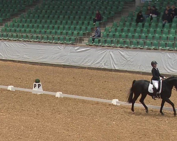 Reitturnier Kreuth/Opf. 2024