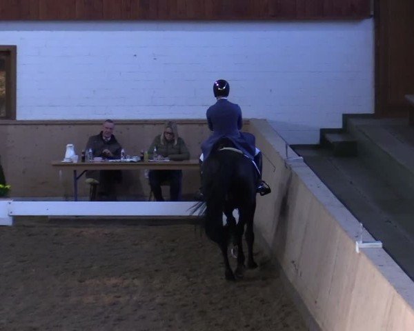 Reitturnier Hövelhof 2024