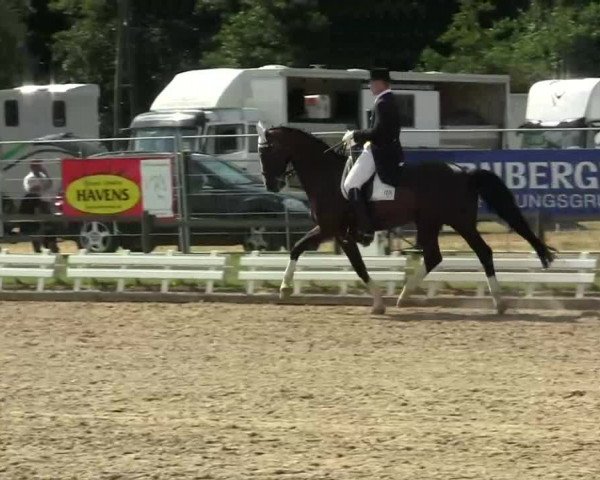 60. Lobbericher Reitsportfestival 01.-04.08.2013