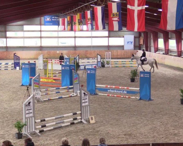 Reitturnier Süderlügum 2024