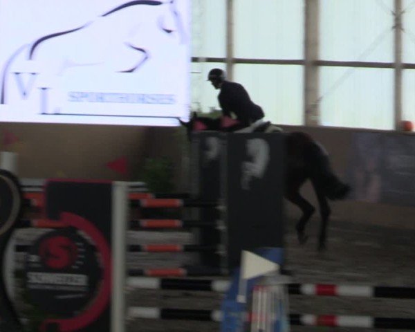 Reitturnier Pausin 2024