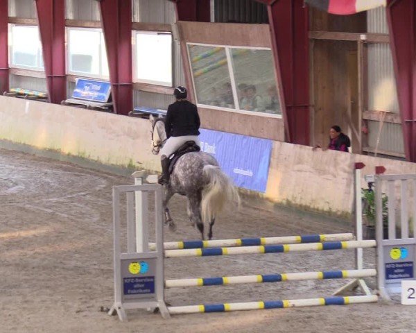 Reitturnier Süderlügum 2024