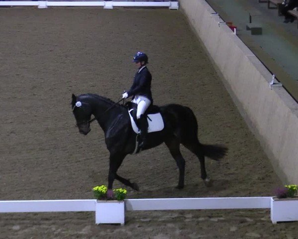 Reitturnier Hövelhof 2024