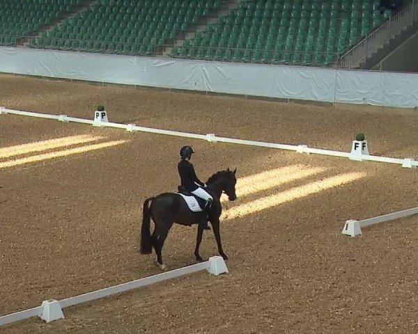 Reitturnier Kreuth/Opf. 2024
