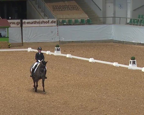 Reitturnier Kreuth/Opf. 2024