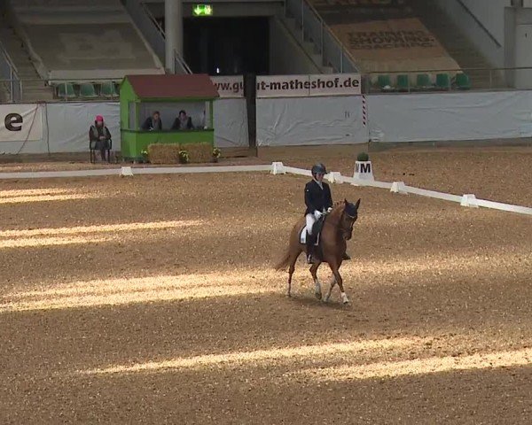 Reitturnier Kreuth/Opf. 2024